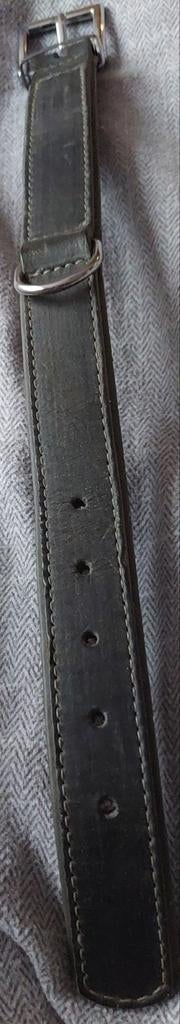 Honden zwart halsband, Ophalen of Verzenden, Zwart, Minder dan 95 cm