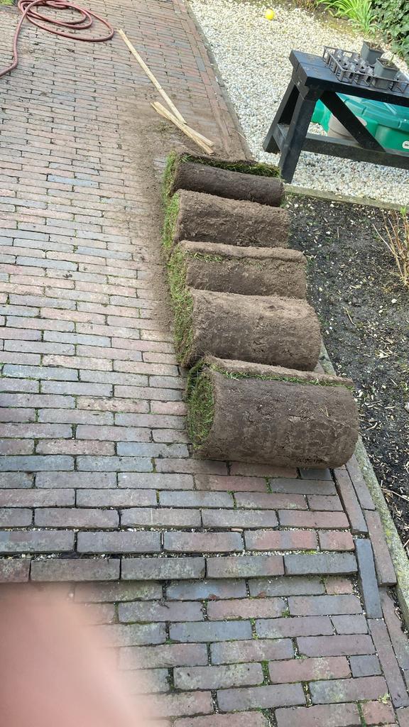 Graszoden 5m2, Tuin en Terras, Gras en Kunstgras, Ophalen, Nieuw, Minder dan 10 m²
