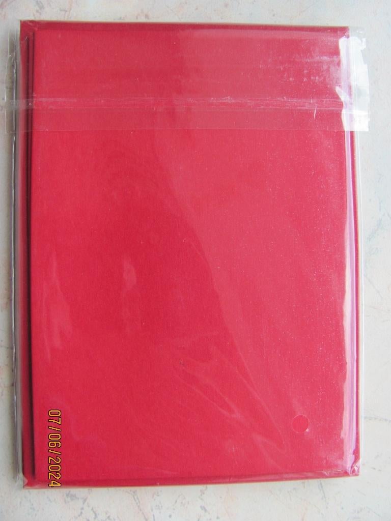 NIEUW 8x METALLIC dubbele KAARTEN papier ENVELOP rechthoekig, Hobby en Vrije tijd, Kaarten | Zelf maken, Ophalen of Verzenden