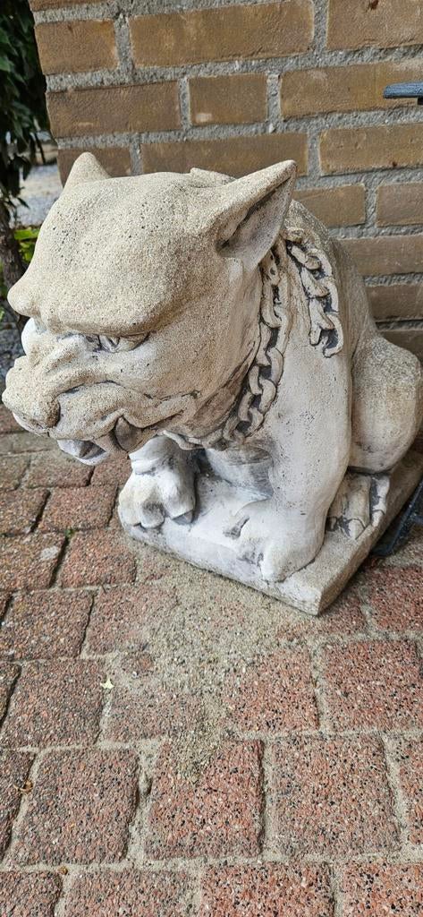 Tuinbeeld buldog van beton van de kop gemeten 45 cm hoog, Ophalen