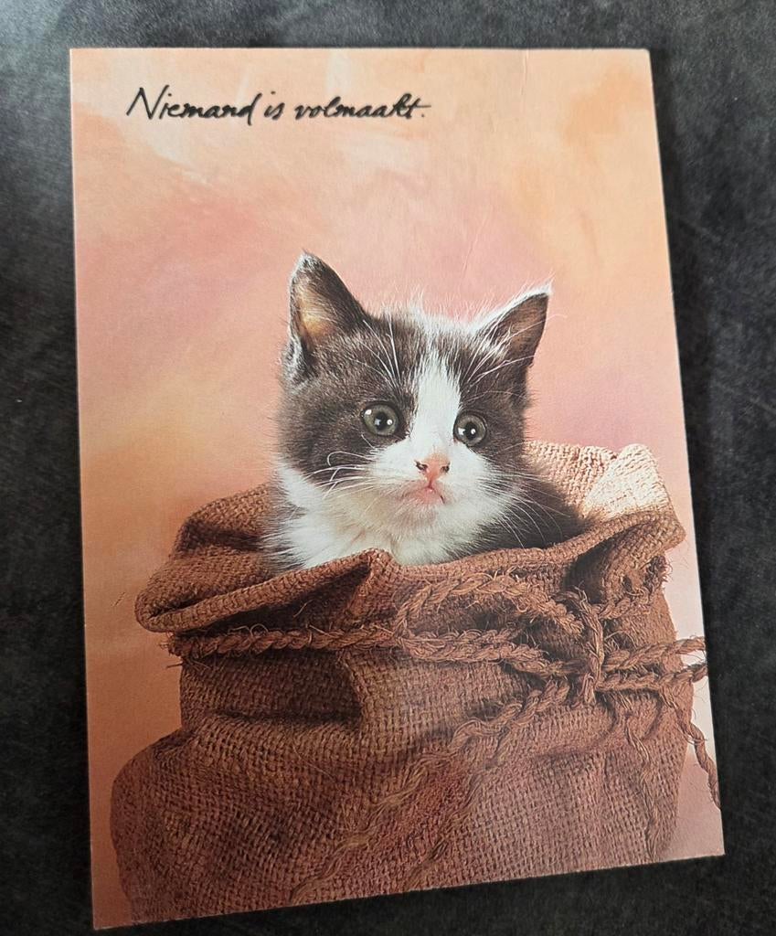 Poesje in juten zak - Niemand is volmaakt, Verzenden, Gelopen, Hond of Kat
