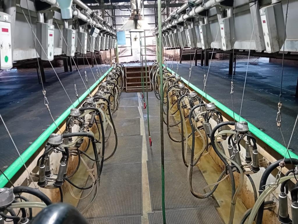 2x 12 zij aan zij melkstal met rapid exit, Dieren en Toebehoren, Overige Dieren-accessoires, Ophalen of Verzenden