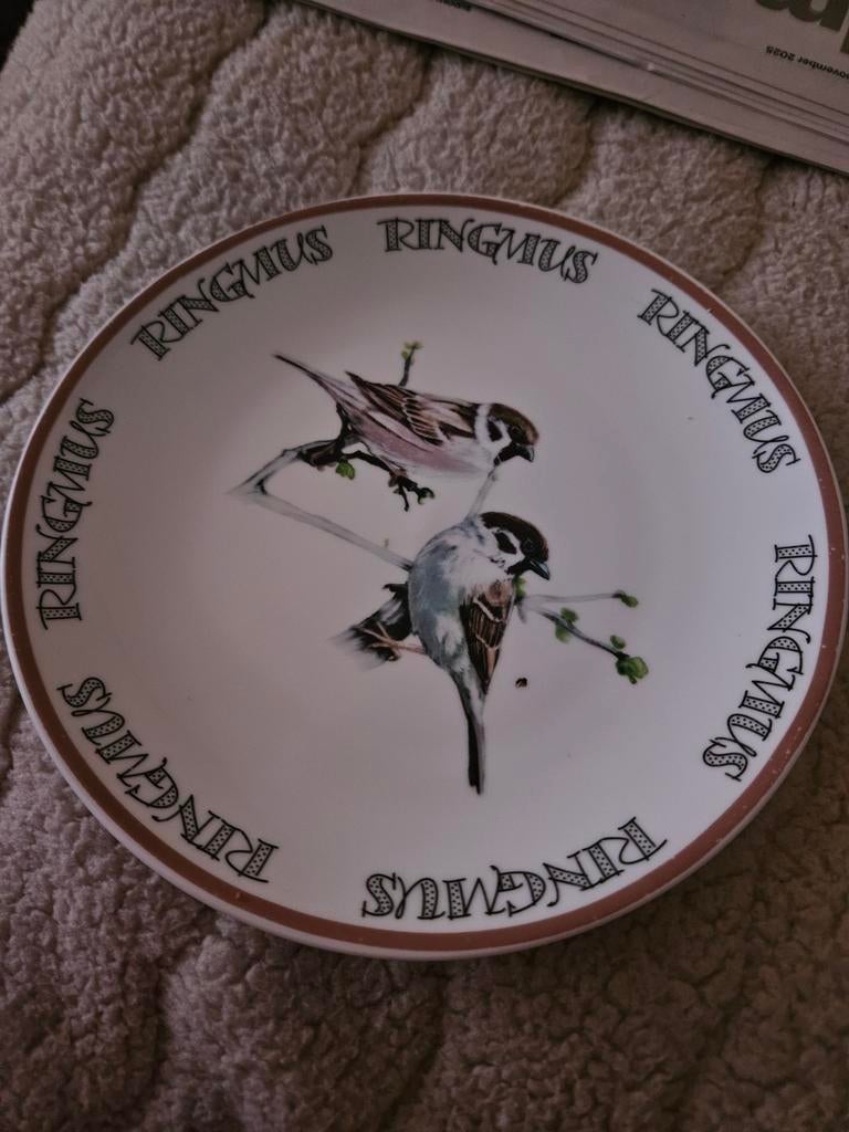 Ringmus decoratief bordje - Hollandse Vogels door Elles, Ophalen of Verzenden