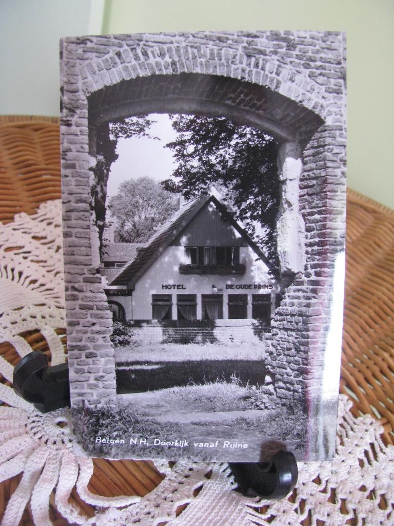 Bergen NH * Doorkijk vanaf Ruïne * Hotel de Oude Prins *, Ophalen of Verzenden, Ongelopen, Noord-Holland