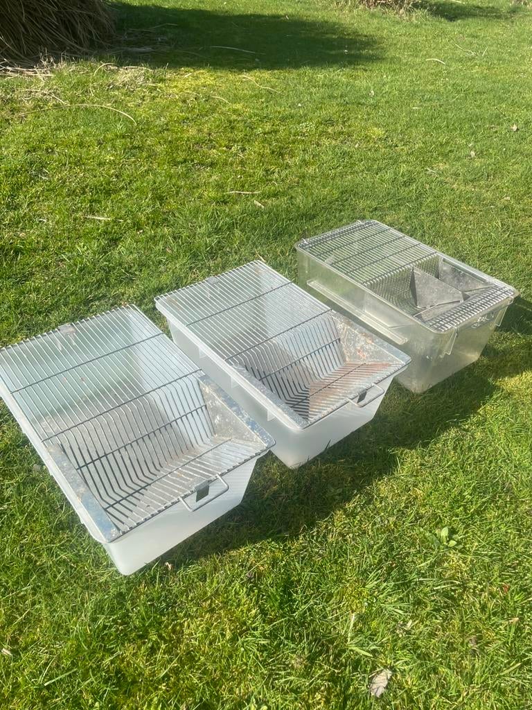 3x T3 labbak, Dieren en Toebehoren, Ophalen, Zo goed als nieuw