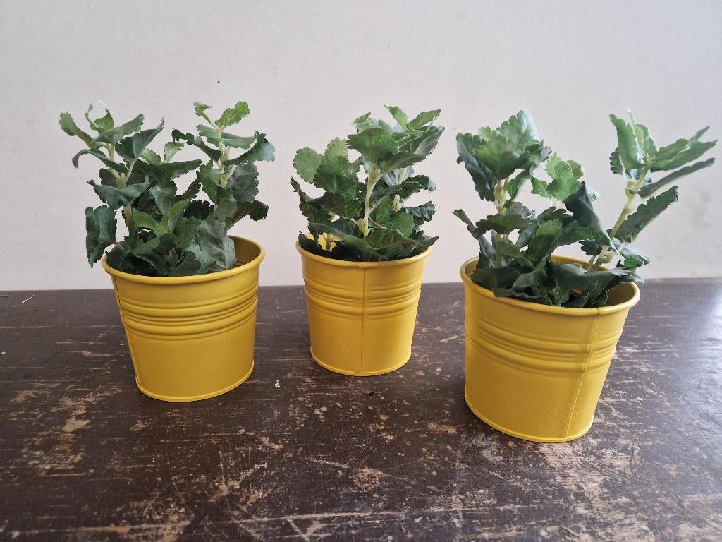 3 leuke kunstplanten in gele metalen potjes, Huis en Inrichting, Woonaccessoires | Kunstplanten en Kunstbloemen, Binnen, Gebruikt
