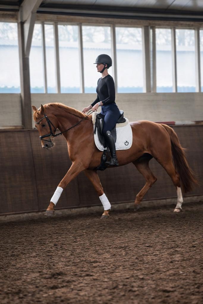 Super bewegende dressuur merrie van De Niro, Dieren en Toebehoren, Paarden, Merrie, Dressuurpaard, 3 tot 6 jaar