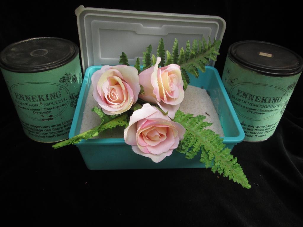 2 x Bloemen Droog Poeder Enneking Driedimensionaal, Ophalen of Verzenden, Gebruikt