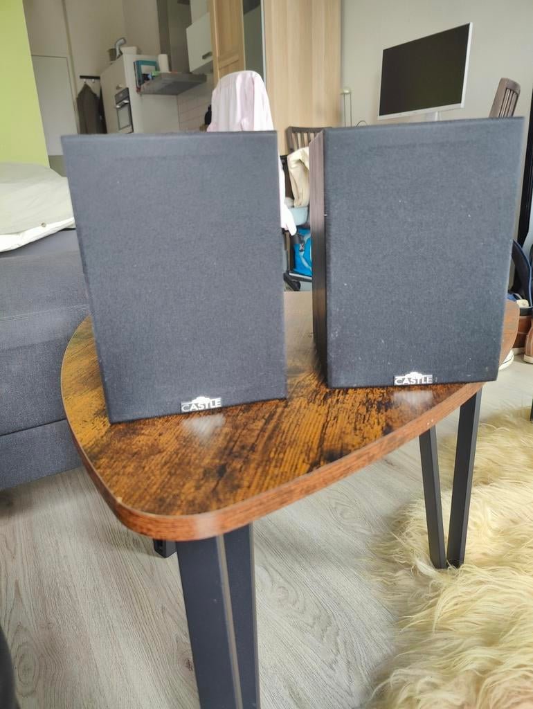 Castle Compact Satellite speakers (2 stuks) – goede staat, Overige merken, Gebruikt, Ophalen of Verzenden, 60 tot 120 watt