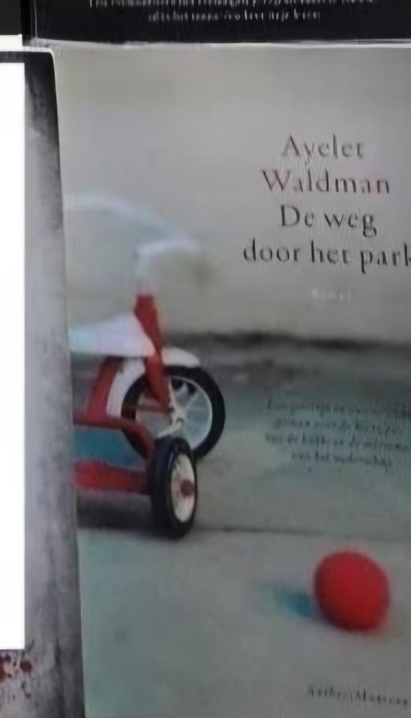 Waldman Ayelet : De weg door het park, Ophalen of Verzenden, Zo goed als nieuw, Waldman Ayelet
