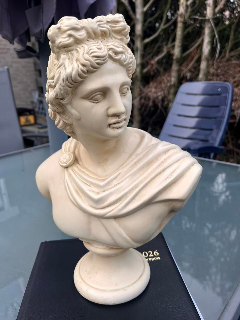 Buste Griekse en Romeinse god Apollo, Ophalen