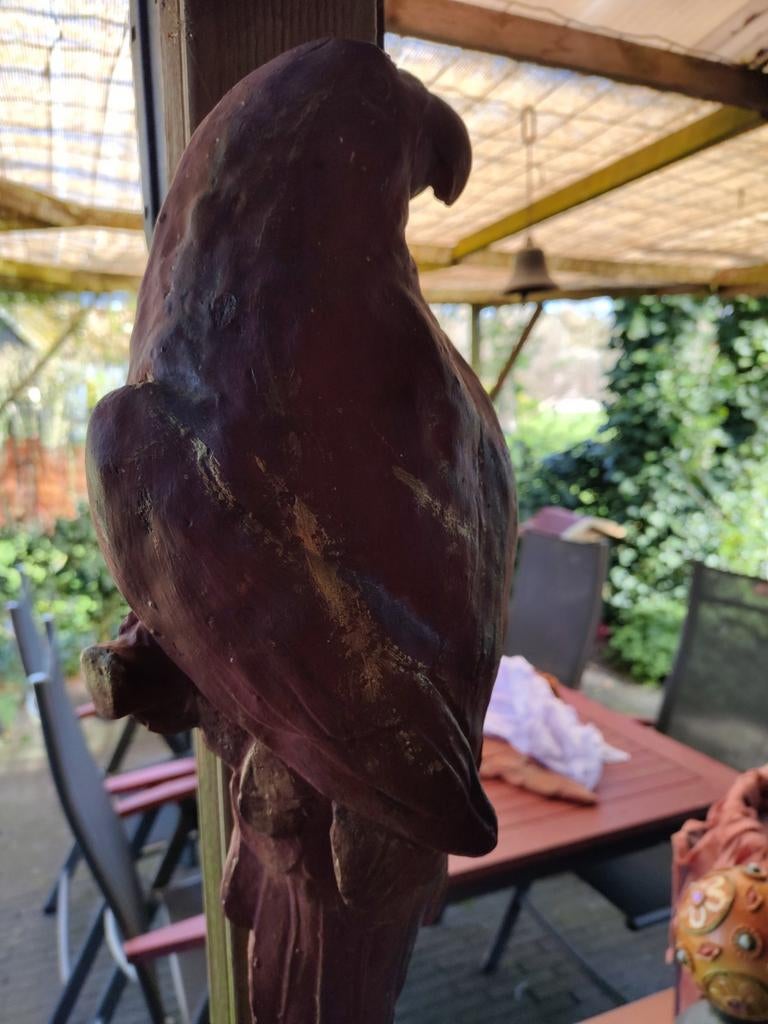 Betonnen Papegaaien voor paal, schutting, wand, Ophalen