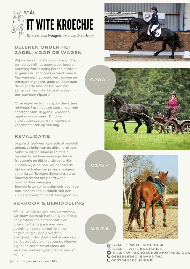 Trainingsstal Beleren van paarden ohz en voor de wagen, Diensten en Vakmensen, Dieren | Paarden | Verzorging, Oppas en Les, Gedragstraining