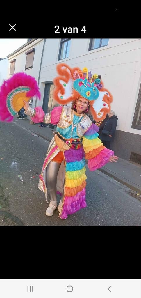 Foamhoed en waaier voor carnaval, Ophalen of Verzenden, Zo goed als nieuw, Carnaval