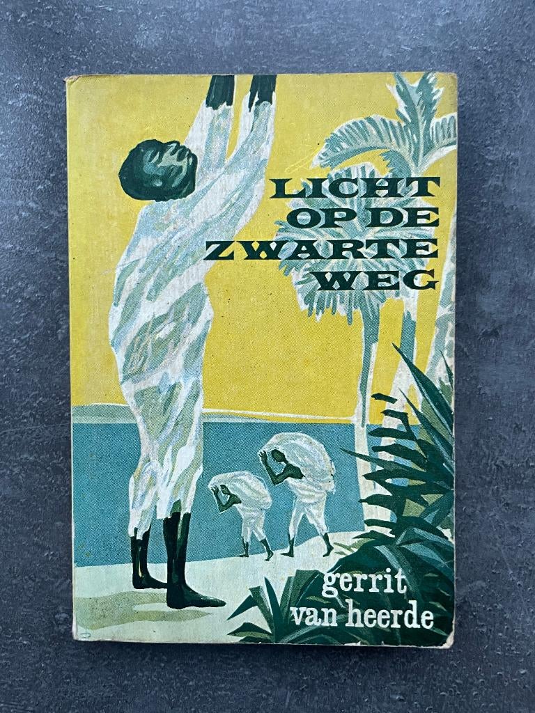 Licht op de zwarte weg van Gerrit van Heerde, Ophalen, Gelezen