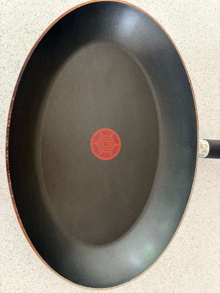 Tefal vispan, Ophalen of Verzenden, Gebruikt, Aluminium, Koekenpan of Braadpan