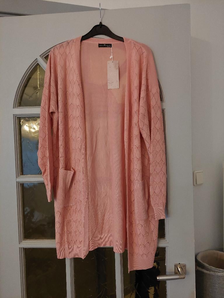 Rose Vest Maat M Nieuw, Ophalen of Verzenden, Nieuw, Maat 38/40 (M), Roze