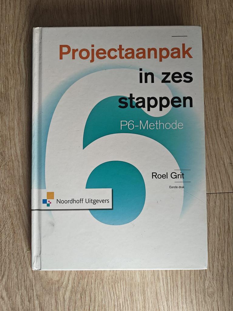 Projectaanpak in zes stappen: P6-methode, Boeken, Ophalen of Verzenden, Beta, Zo goed als nieuw, HBO