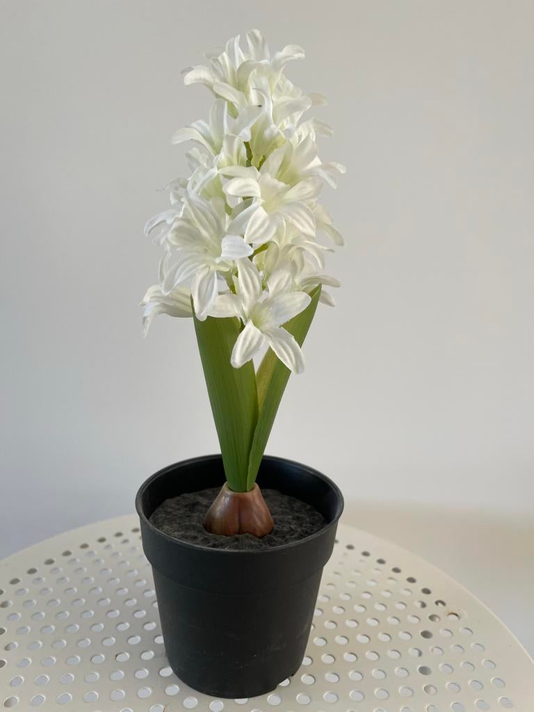 Witte kunst hyacinten - 25 cm, Ophalen of Verzenden, Nieuw, Binnen