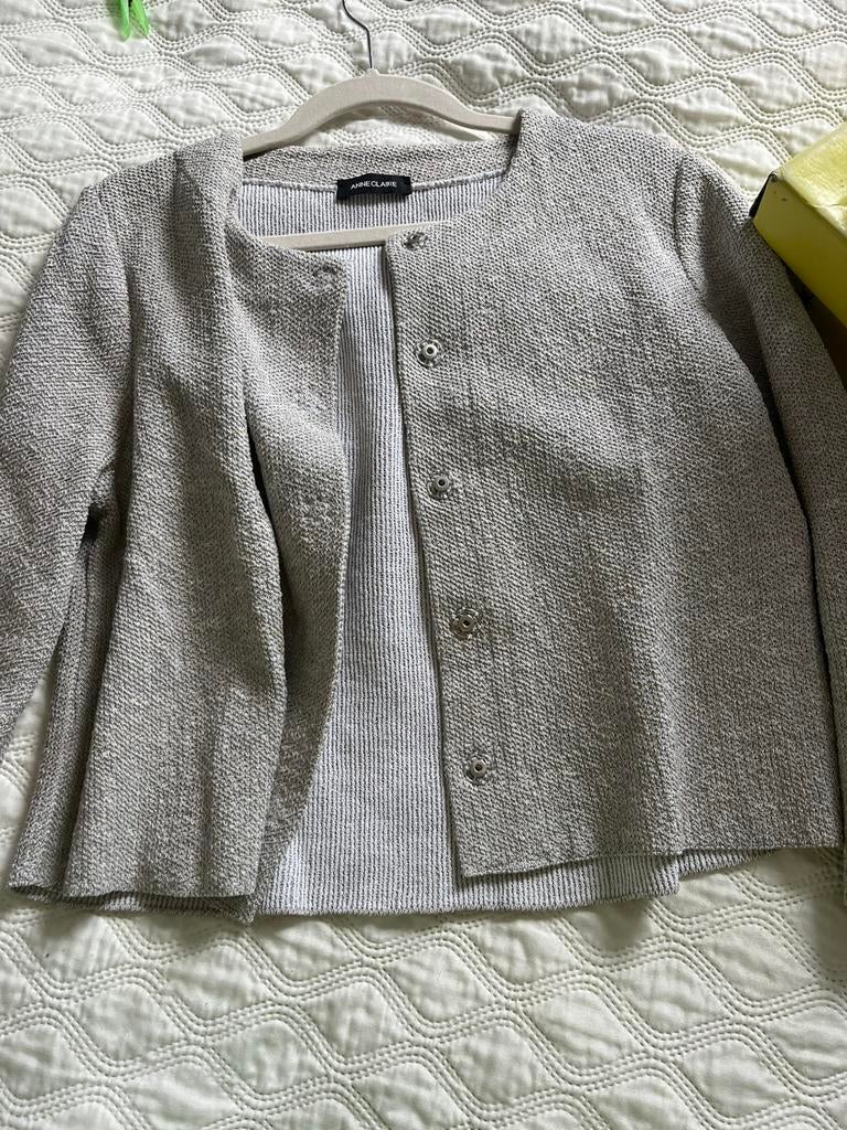 By Pauw Anneclaire vest/jasje  38/40 zacht grijs gemeleerd, Ophalen of Verzenden, Zo goed als nieuw, Maat 38/40 (M)