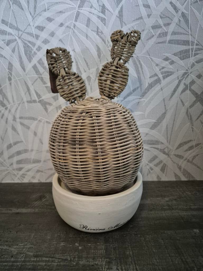 Riviera Maison rattan cactus, Ophalen of Verzenden, Zo goed als nieuw