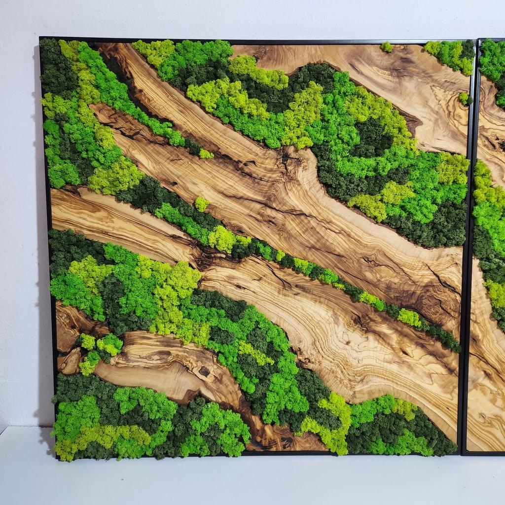 Ook olijfhout om schilderijen met mos of lijsten te maken, Ophalen, Minder dan 50 cm, Nieuw, Schilderij