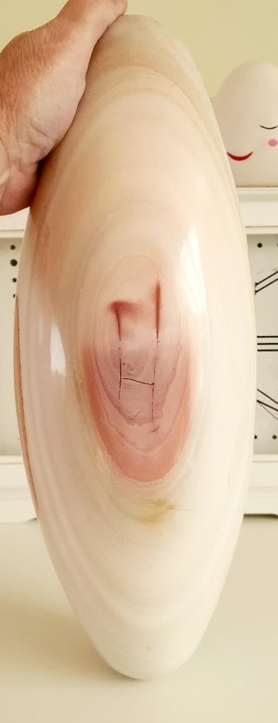 5 Kg.Botswana agaat Shiva Lingam 35 x 13 cm Uniek Pronkstuk, Verzamelen, Mineralen en Fossielen, Mineraal, Verzenden