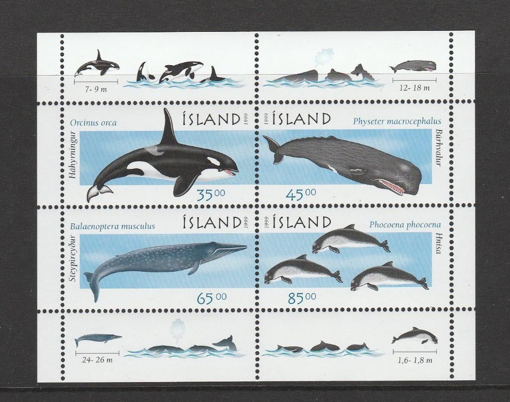 IJsland blok Walvissen en Dolfijnen (1999)., Verzenden, IJsland, Postfris