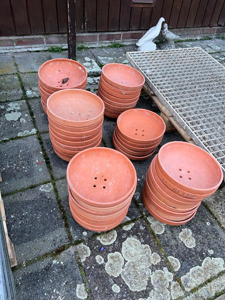 Broedschaal Duiven | circa 45 stuks, Ophalen, Gebruikt