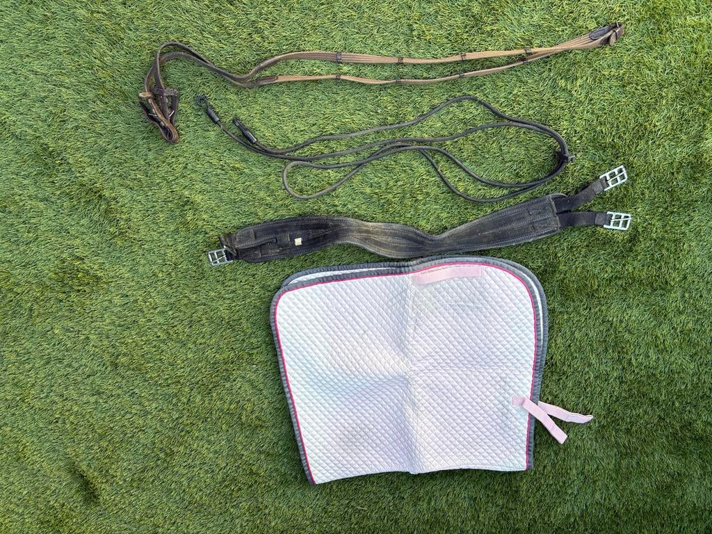 Paardendekje, teugel en singel, Ophalen of Verzenden, Gebruikt, Dressuur