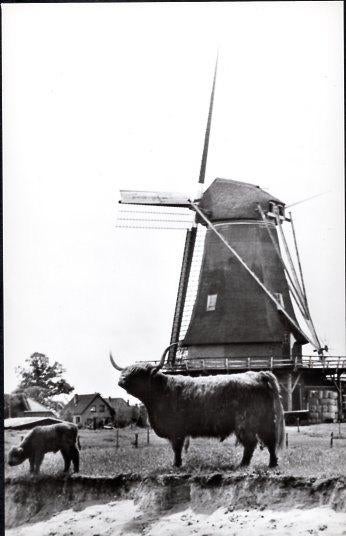 (GD508) Ansichtkaart Zwiep-Lochem Zwiepse molen 1980 rund, Ophalen of Verzenden, 1960 tot 1980, Ongelopen, Gelderland