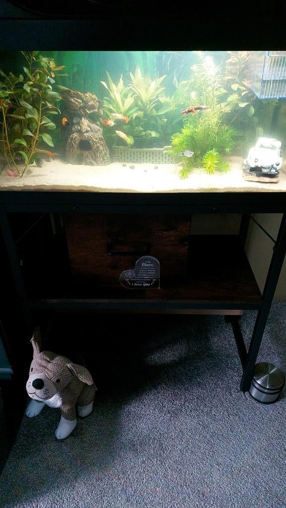 2 compleet ingerichte nieuwe aquaria's, Dieren en Toebehoren, Ophalen, Gevuld zoetwateraquarium