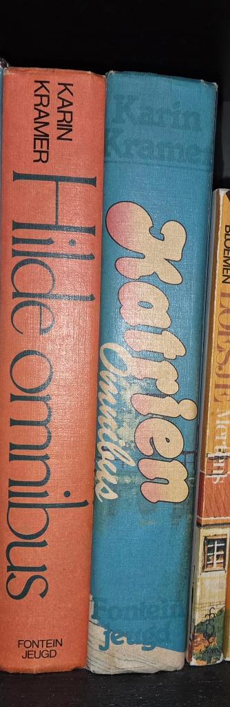 karin kramer  omnibussen  katrien en hilde, Boeken, Ophalen of Verzenden, Zo goed als nieuw