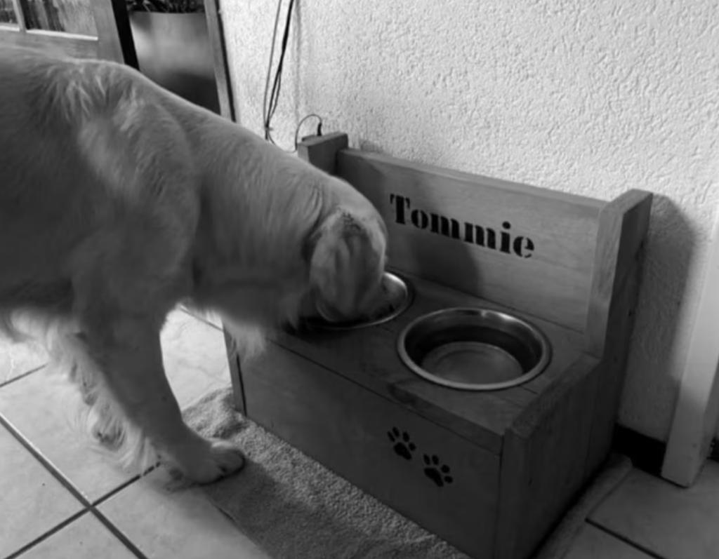 Hondenvoerbakken, steigerhout met GRATIS NAAM HOND!, Dieren en Toebehoren, Ophalen of Verzenden, Nieuw