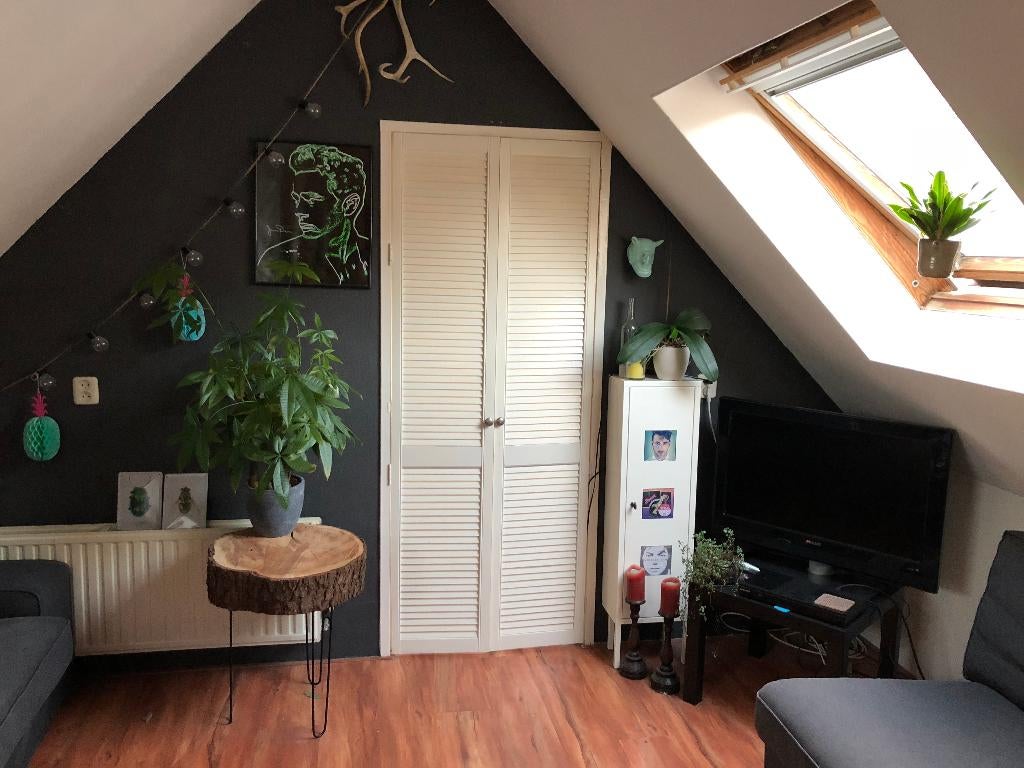 Knus appartement  1e verdieping in het centrum van Rhenen, 20 tot 35 m², Wageningen