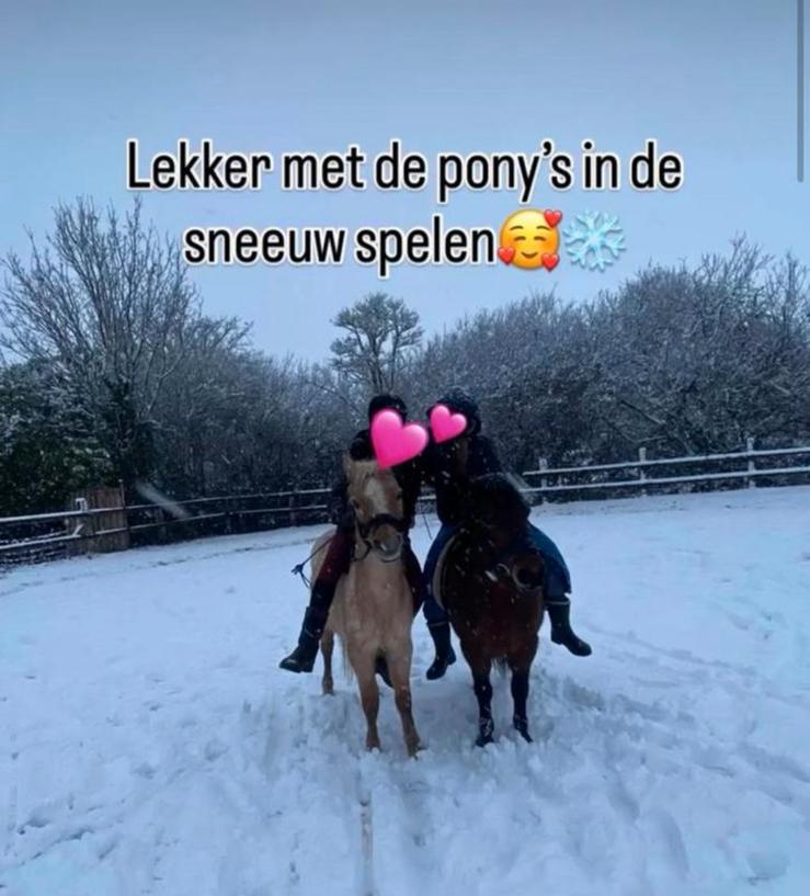 Pensionstalling aangeboden, Weidegang