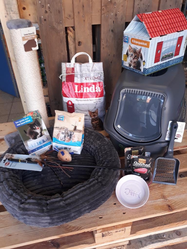 leuk Kitten start pakket - ook voor volwassen katten, Ophalen of Verzenden, Nieuw