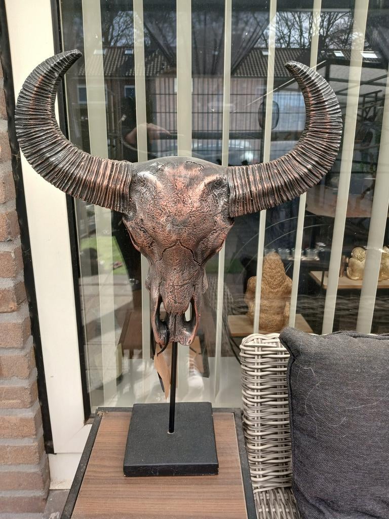 Decoratieve buffel schedel, Ophalen of Verzenden