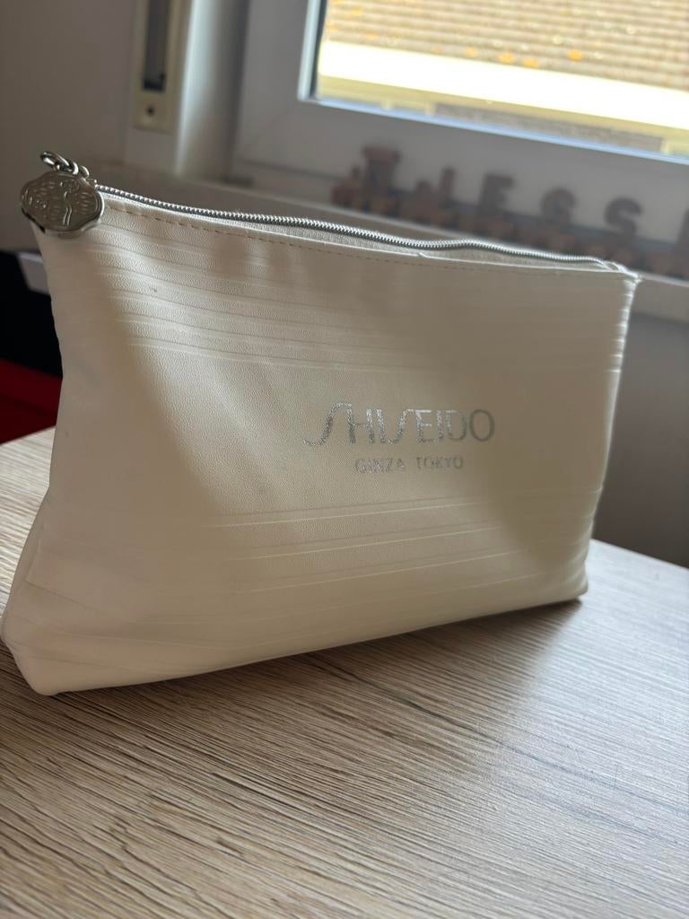 Grote pennenzak met paintmarkers en glassmarkers, Ophalen, Zo goed als nieuw, Potlood of Stift