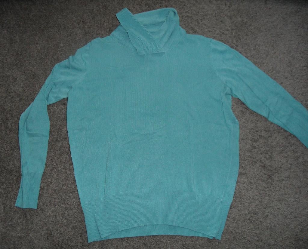 Lichtgroene trui van Witteveen, maat L, Kleding | Dames, Truien en Vesten, Maat 42/44 (L), Ophalen of Verzenden, Zo goed als nieuw