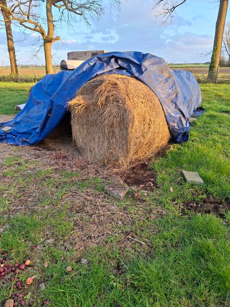 Ronde balen hooi, Ophalen of Verzenden