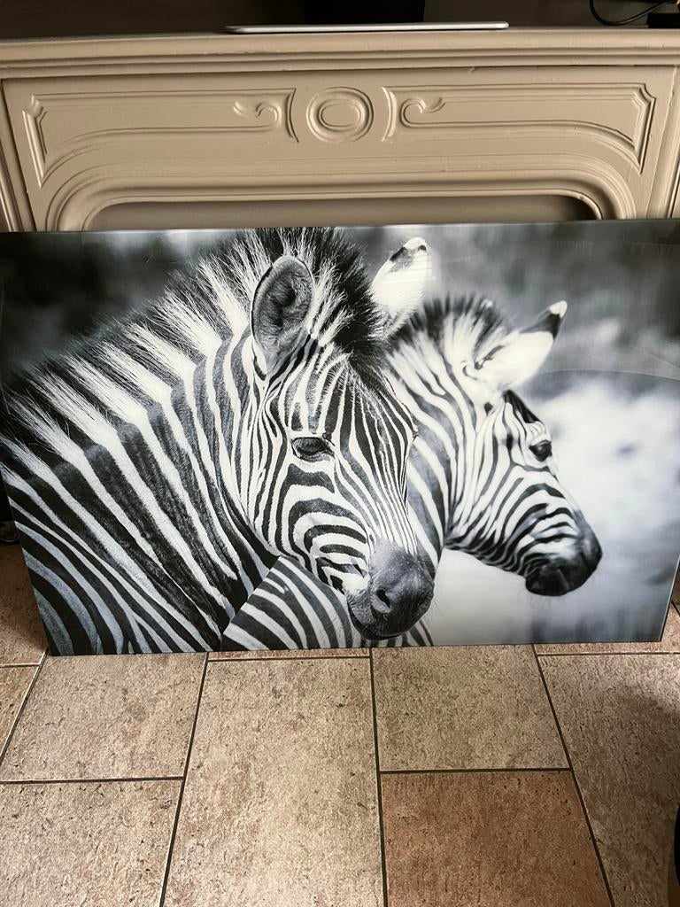 Glasschilderij, Ophalen, Zo goed als nieuw, Schilderij, 75 cm of meer