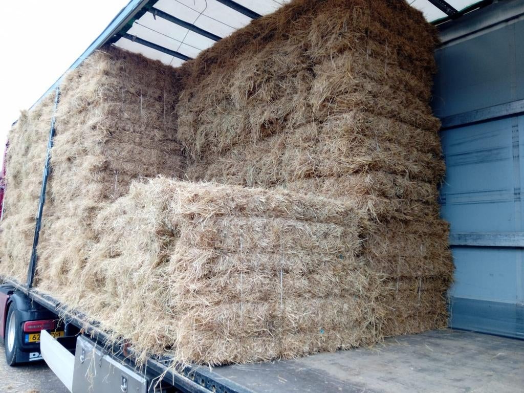 Hooi te koop, Dieren en Toebehoren, Ophalen, Vee