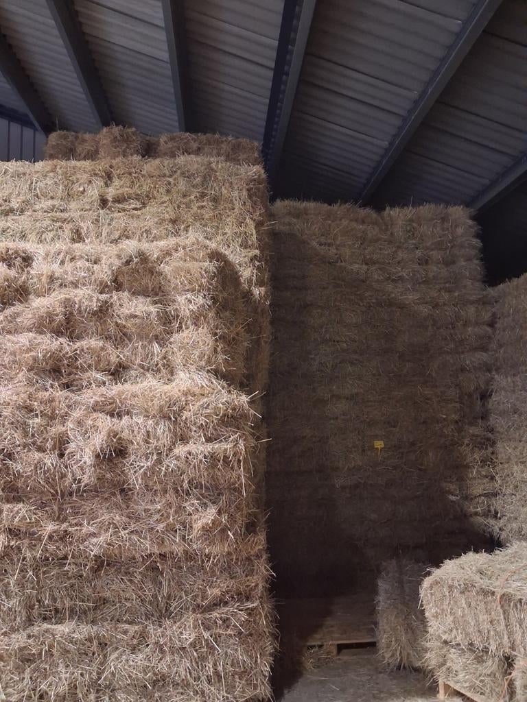 Suikerarm weidehooi, grote en kleine balen,, Dieren en Toebehoren, Ophalen of Verzenden, Vee