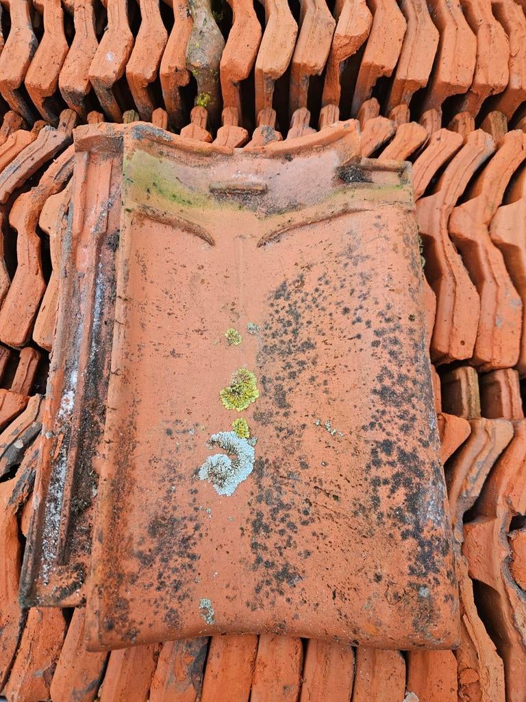 3400 st VH natuurrood, Ophalen of Verzenden, Steen of Klei, 15 m² of meer, Dakpannen