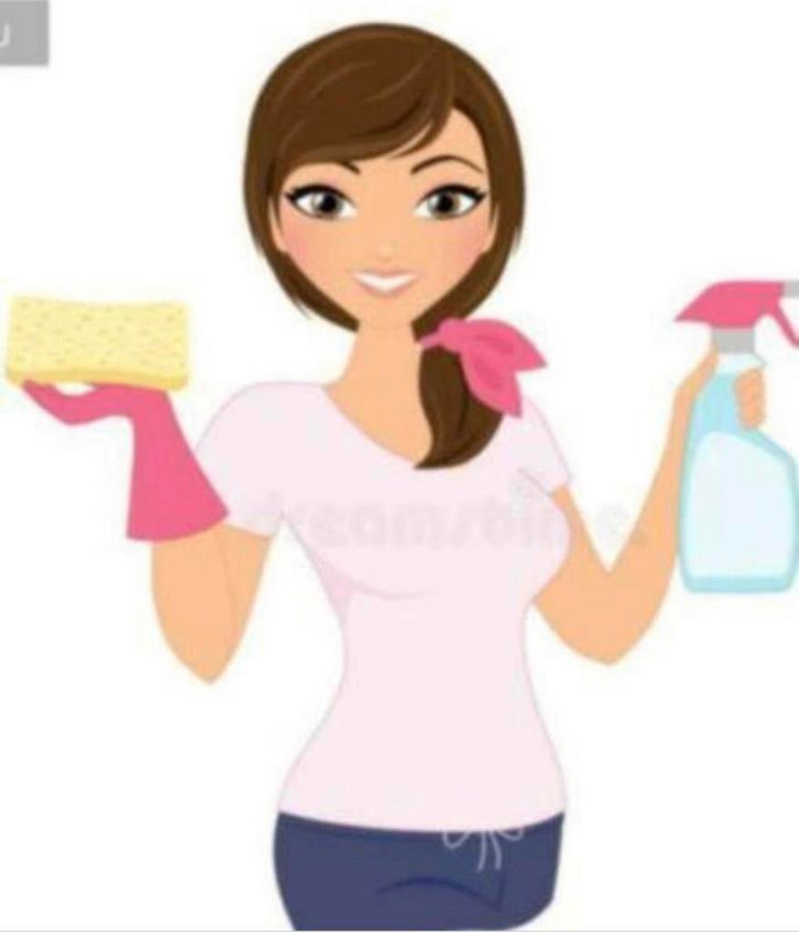 Schoonmaakster aangeboden, Vacatures, Vanaf 10 jaar, Overige vormen