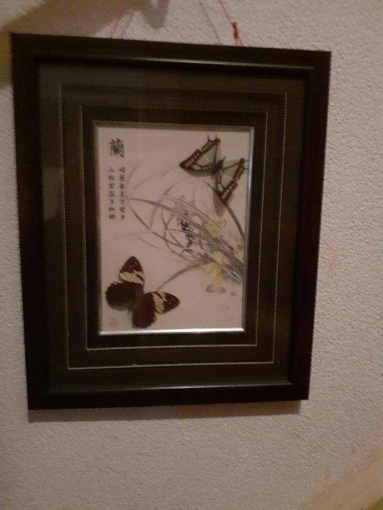 Chinese schilderij met echte Vlinders achter glas, Minder dan 50 cm, Ophalen of Verzenden, Zo goed als nieuw, Minder dan 50 cm