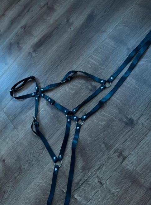 NIEUW Leer harnas, Verzenden, Zwart, Overige typen