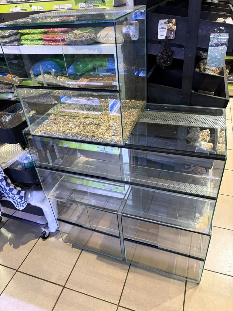 Glazen bakken, Dieren en Toebehoren, Ophalen, Gebruikt