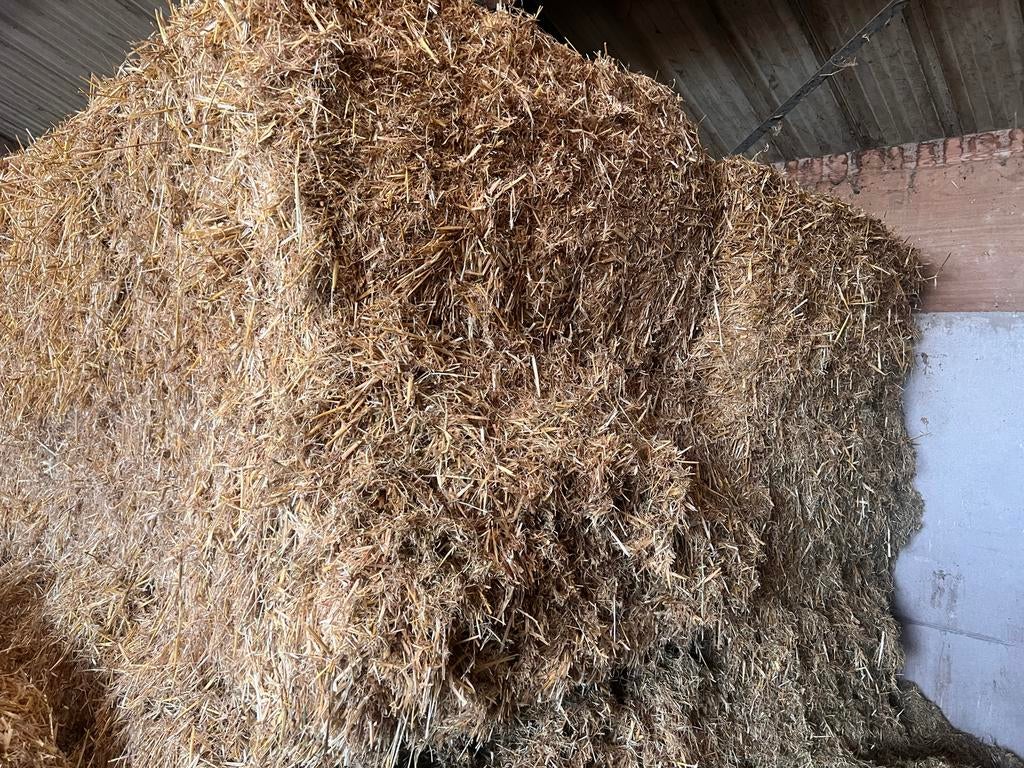 Gerstestro - Hoogwaardig stro voor diverse toepassingen, Ophalen